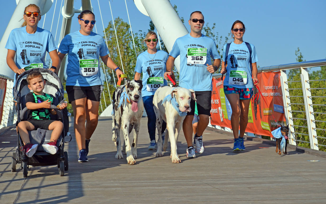 Fotos: Can-rrera Bioparc 2019: animales y dueños corren juntos en Valencia