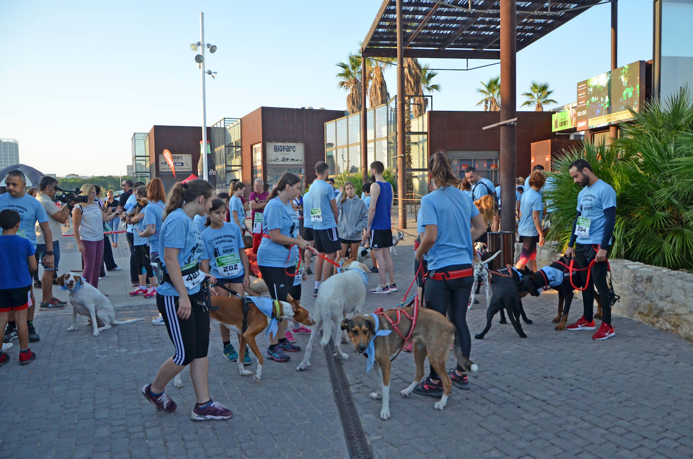 Fotos: Can-rrera Bioparc 2019: animales y dueños corren juntos en Valencia