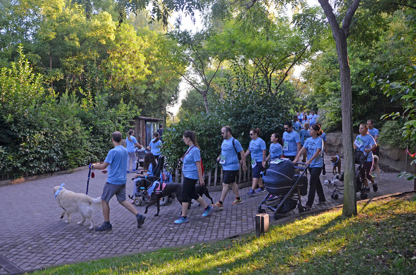 Fotos: Can-rrera Bioparc 2019: animales y dueños corren juntos en Valencia