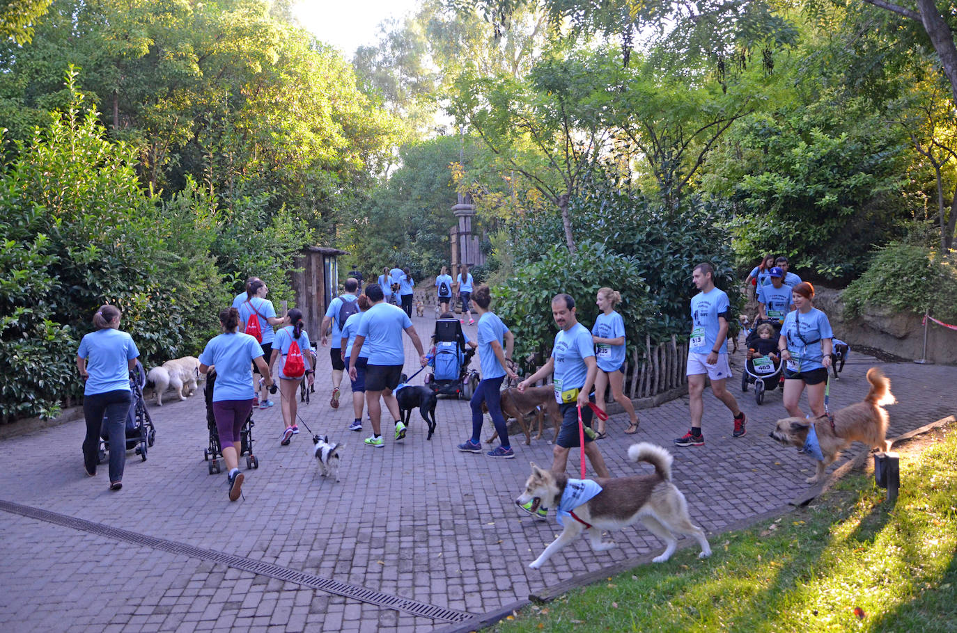 Fotos: Can-rrera Bioparc 2019: animales y dueños corren juntos en Valencia