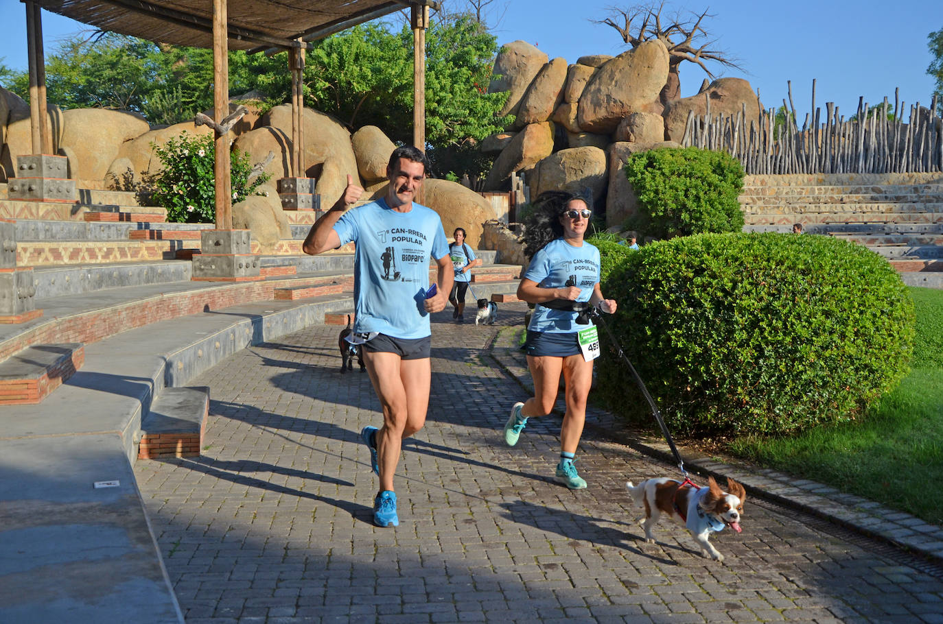 Fotos: Can-rrera Bioparc 2019: animales y dueños corren juntos en Valencia