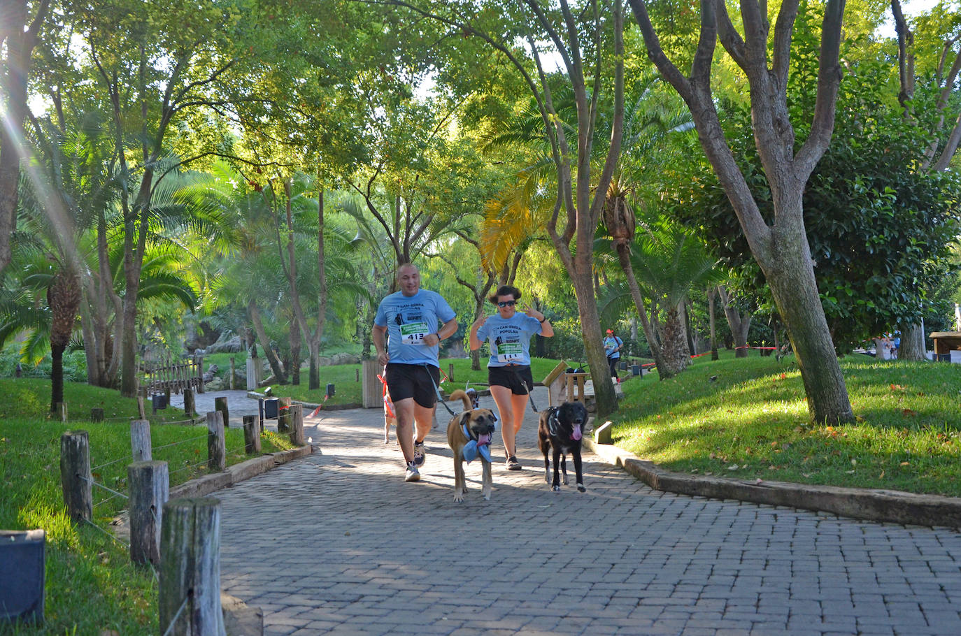 Fotos: Can-rrera Bioparc 2019: animales y dueños corren juntos en Valencia