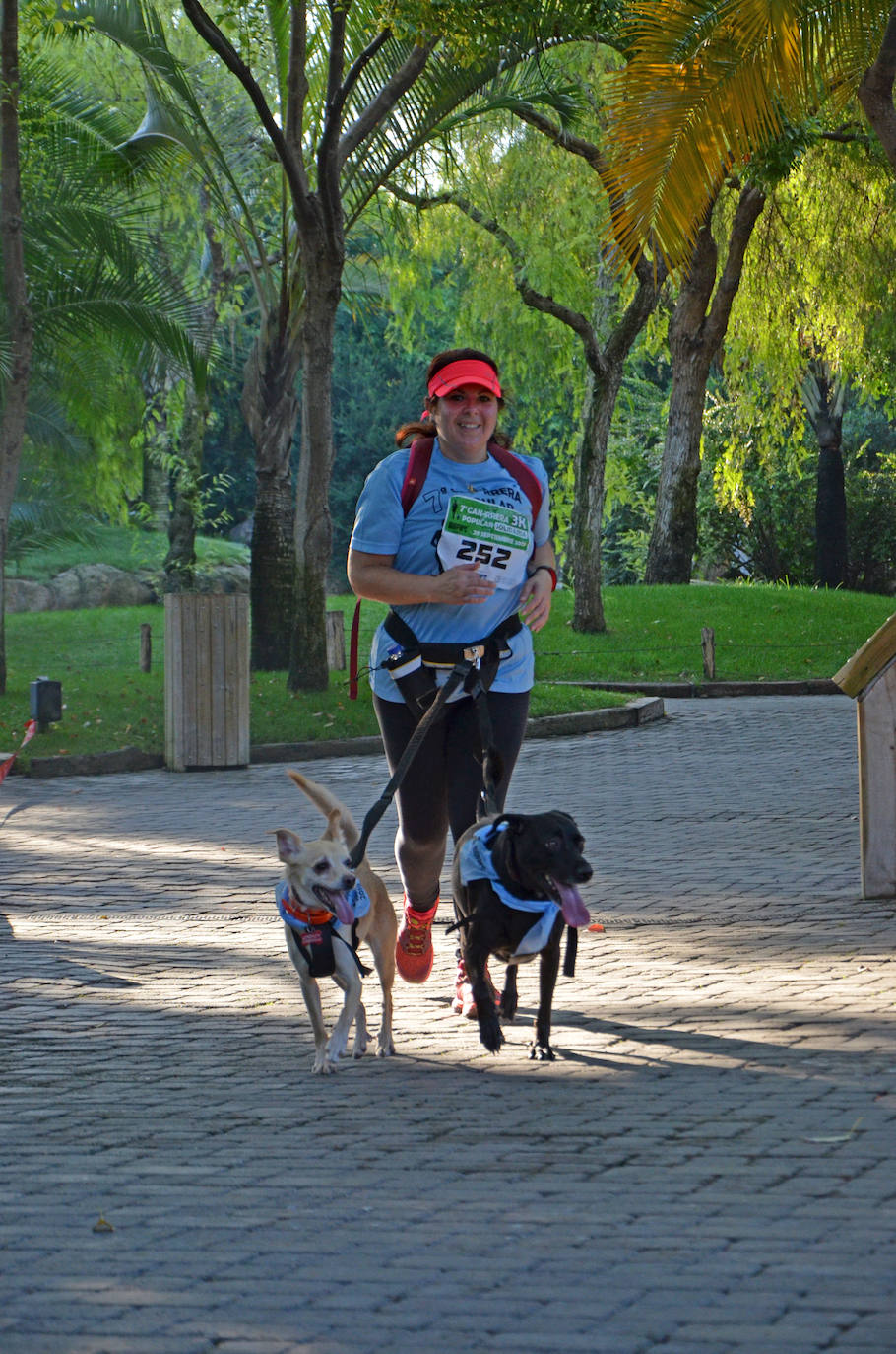 Fotos: Can-rrera Bioparc 2019: animales y dueños corren juntos en Valencia