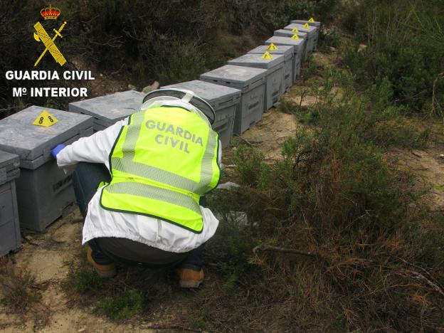 Un apicultor roba 130 cajas de colmenas