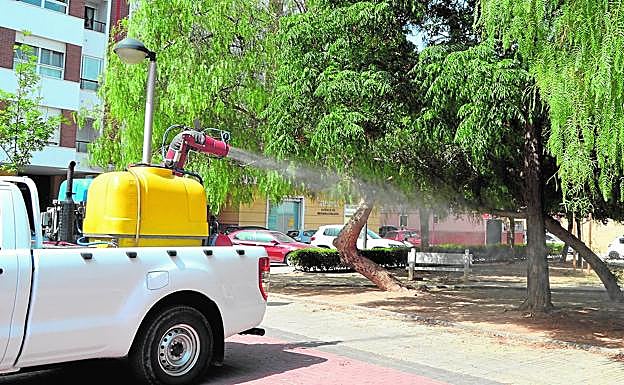 L'Alcúdia refuerza los tratamientos contra el mosquito tigre.