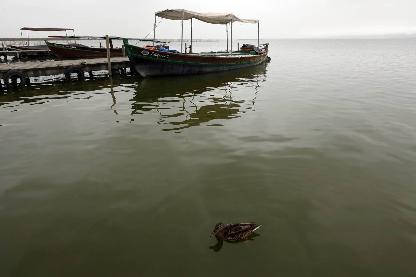 La falta de agua de calidad, los sedimentos y la inacción de las administraciones amenazan el futuro del parque natural