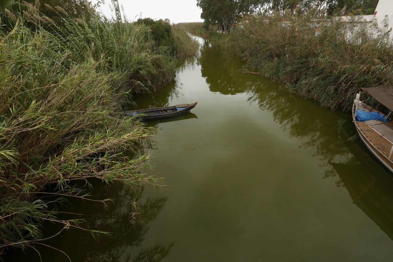 La falta de agua de calidad, los sedimentos y la inacción de las administraciones amenazan el futuro del parque natural