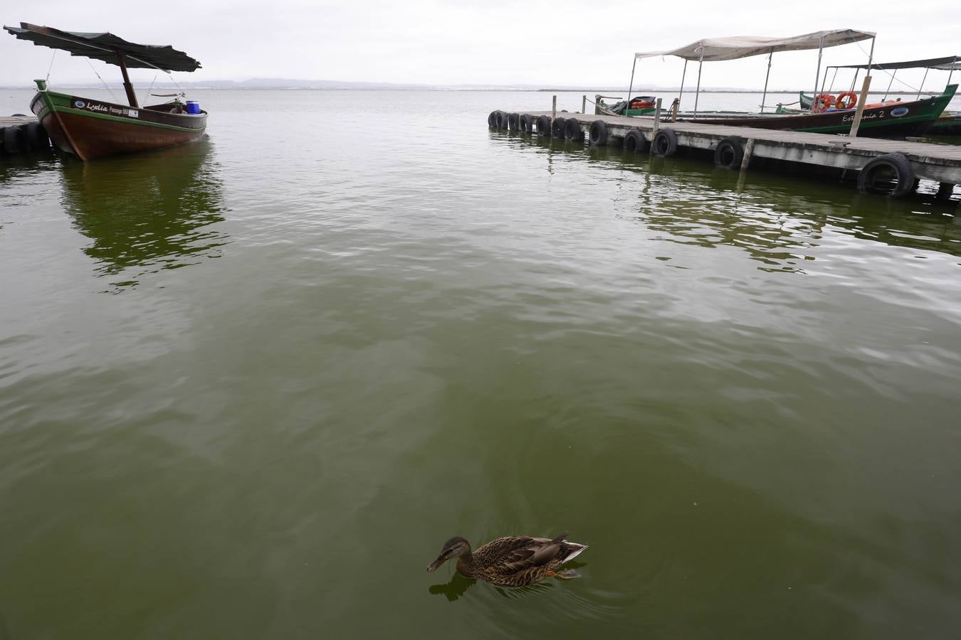 La falta de agua de calidad, los sedimentos y la inacción de las administraciones amenazan el futuro del parque natural