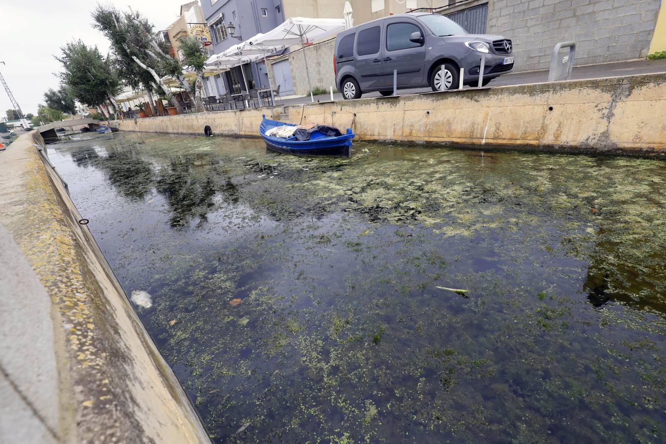 La falta de agua de calidad, los sedimentos y la inacción de las administraciones amenazan el futuro del parque natural