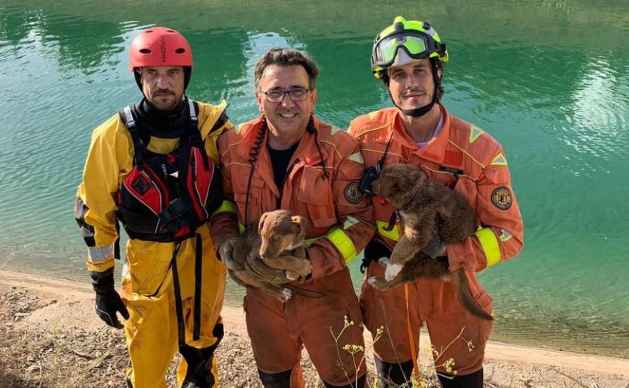 Los cachorros rescatados y tres bomberos que participaron en el rescate.