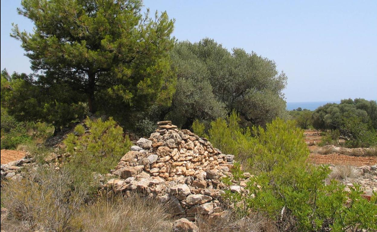 Imagen de archivo del Paraje Natural de la Sierra de Irta.