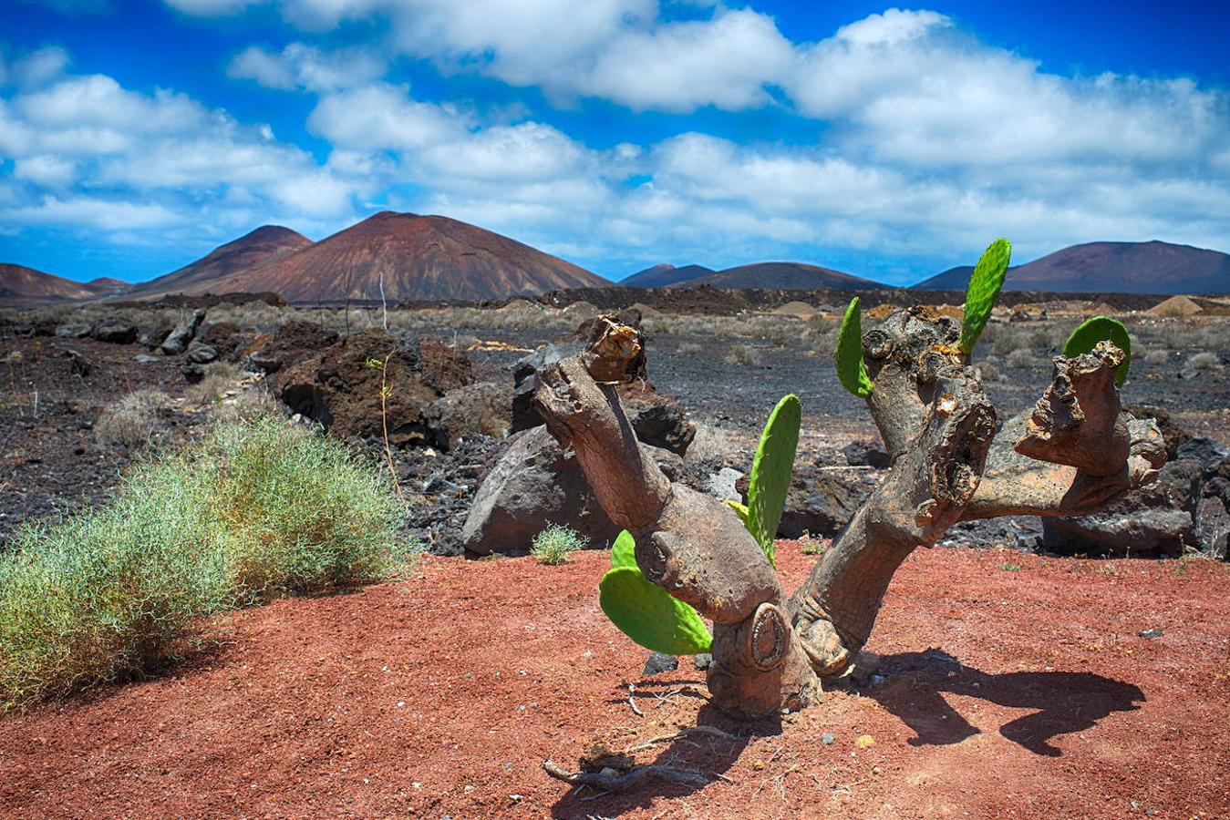 Timanfaya (Lanzarote)