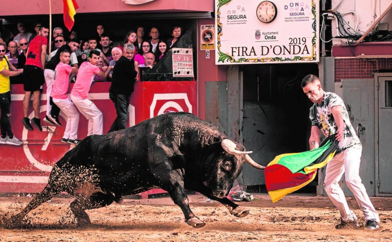 Emotivo momento en que Dani Martínez recibe al toro con esta prenda que perteneció a Torrechiva.