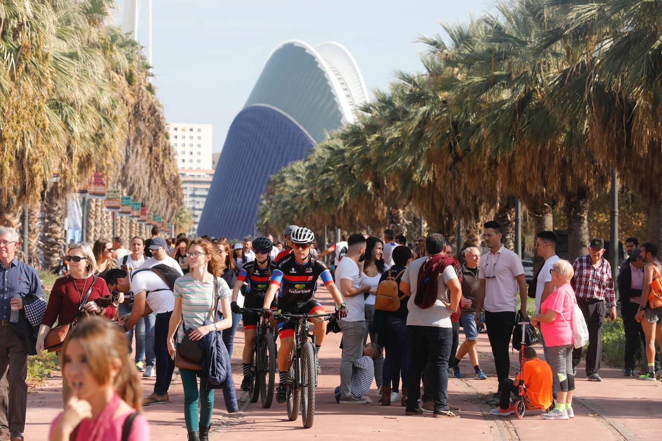 Fotos: Las mejores imágenes del Medio Maratón de Valencia 2019