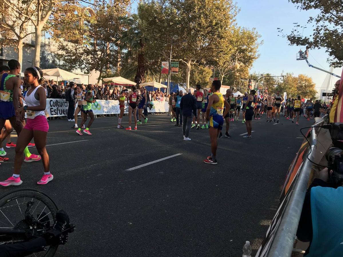 Fotos: Las mejores imágenes del Medio Maratón de Valencia 2019