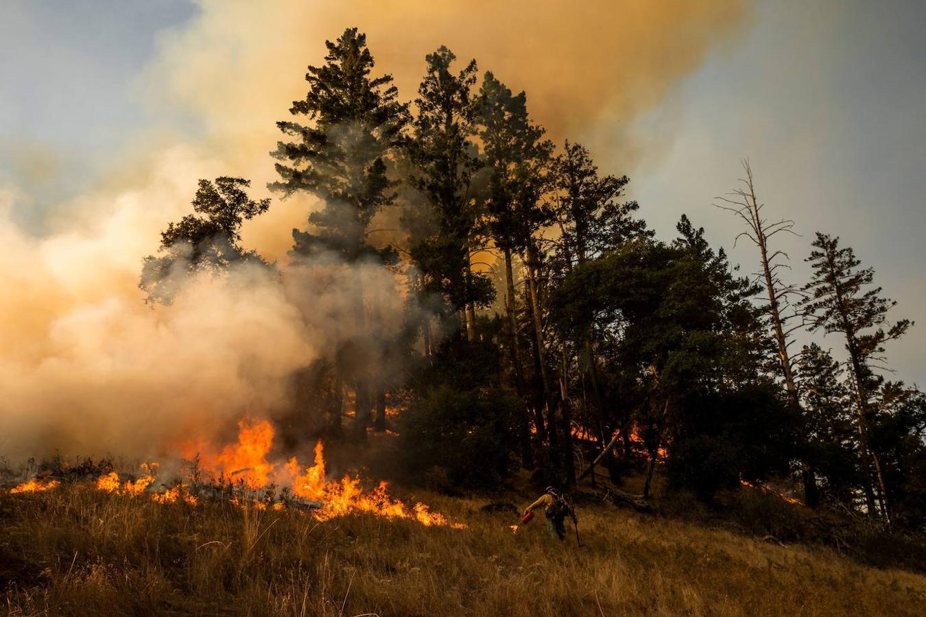 Fotos: Incendios forestales en California