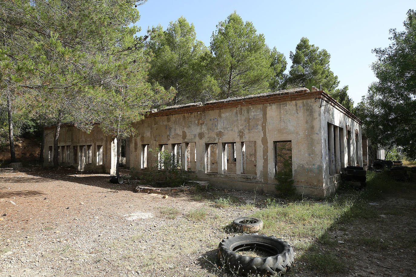 La cementera de Benagéber (Valencia) | La enorme construcción todavía se contempla desde lo lejos, como un colosal castillo de hormigón entre agua y maleza. Construida en la década de los cuarenta, fue gestionada por la misma empresa que se encargó del embalse, Portolés y Cía, que se convertiría en una de las principales compañías de obras públicas tras la Guerra Civil. La construcción del pantano de Contreras también corrió a cargo de esta firma, prueba de su estrecha colaboración laboral con el gobierno franquista. En aquella época, la mayoría de los habitantes de Benagéber eran los trabajadores de las obras del embalse y la cementera. Por ello, cuando en 1955 finalizaron los trabajos para la formación del pantano, la mayoría de la población emigró y el lugar quedó sumido en la escalofriante quietud que, a día de hoy, le sigue caracterizando. 