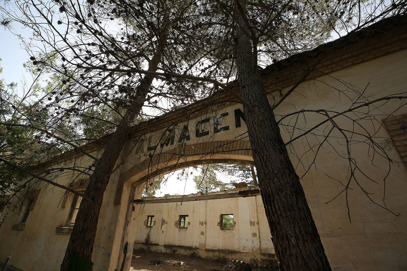 La cementera de Benagéber (Valencia) | La enorme construcción todavía se contempla desde lo lejos, como un colosal castillo de hormigón entre agua y maleza. Construida en la década de los cuarenta, fue gestionada por la misma empresa que se encargó del embalse, Portolés y Cía, que se convertiría en una de las principales compañías de obras públicas tras la Guerra Civil. La construcción del pantano de Contreras también corrió a cargo de esta firma, prueba de su estrecha colaboración laboral con el gobierno franquista. En aquella época, la mayoría de los habitantes de Benagéber eran los trabajadores de las obras del embalse y la cementera. Por ello, cuando en 1955 finalizaron los trabajos para la formación del pantano, la mayoría de la población emigró y el lugar quedó sumido en la escalofriante quietud que, a día de hoy, le sigue caracterizando. 