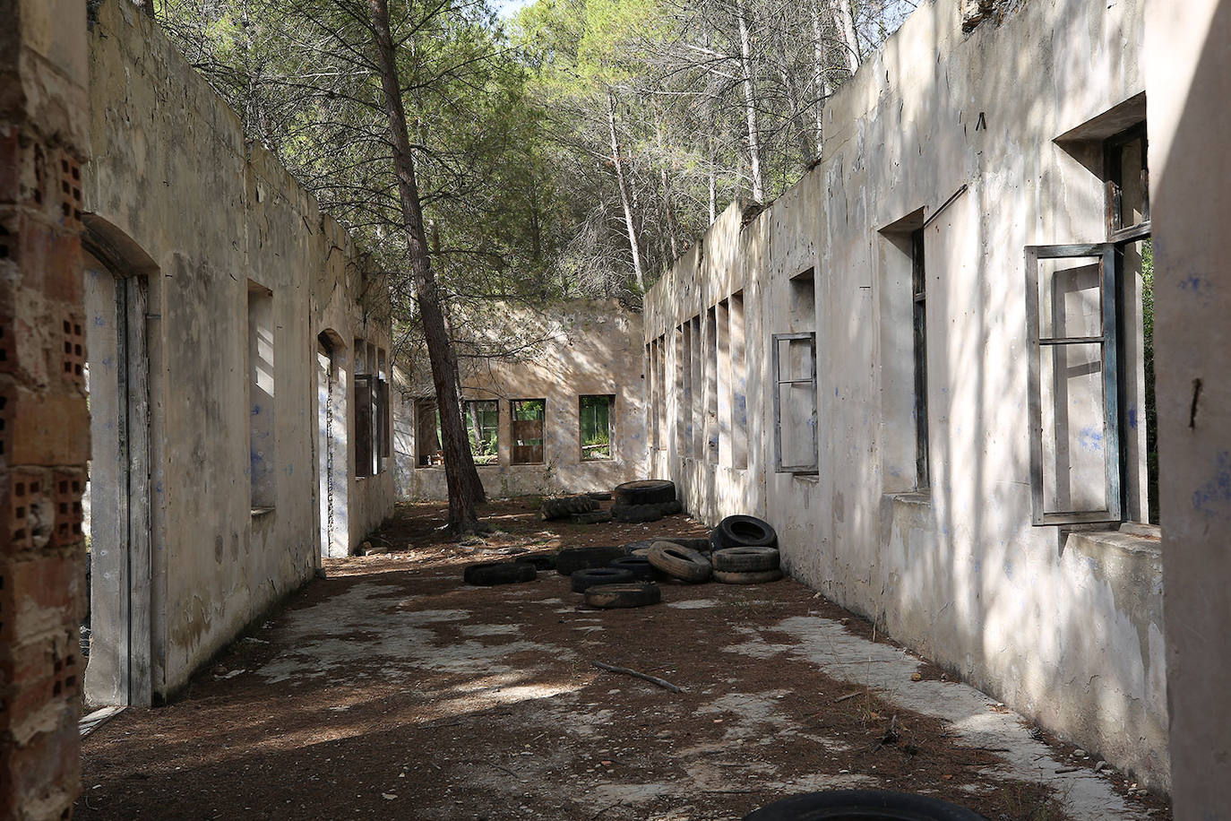 La cementera de Benagéber (Valencia) | La enorme construcción todavía se contempla desde lo lejos, como un colosal castillo de hormigón entre agua y maleza. Construida en la década de los cuarenta, fue gestionada por la misma empresa que se encargó del embalse, Portolés y Cía, que se convertiría en una de las principales compañías de obras públicas tras la Guerra Civil. La construcción del pantano de Contreras también corrió a cargo de esta firma, prueba de su estrecha colaboración laboral con el gobierno franquista. En aquella época, la mayoría de los habitantes de Benagéber eran los trabajadores de las obras del embalse y la cementera. Por ello, cuando en 1955 finalizaron los trabajos para la formación del pantano, la mayoría de la población emigró y el lugar quedó sumido en la escalofriante quietud que, a día de hoy, le sigue caracterizando. 
