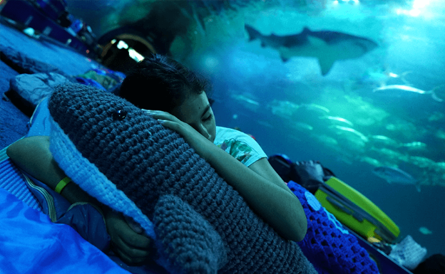 Dormir con tiburones en Halloween.