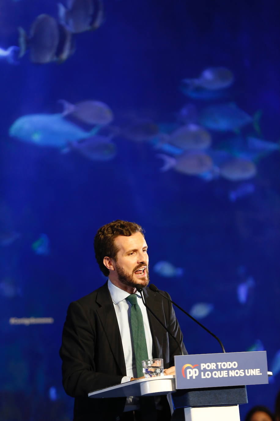 El líder del Partido Popular protagoniza un acto en el Auditorio Mar Rojo del Oceanogràfic de Valencia por las Elecciones Generales del 10N.