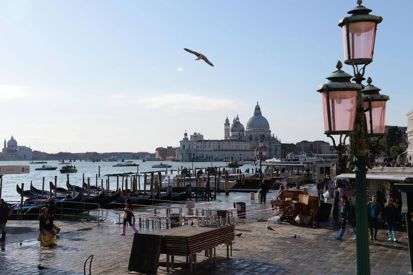 El gobierno italiano decretó este jueves el estado de emergencia en Venecia tras las excepcionales mareas altas que causaron hace dos días incalculables daños al patrimonio artístico e inmueble de una de las joyas arquitectónicas del viejo continente. Con esa medida se pueden reactivar los servicios públicos y privados hasta ahora casi paralizados ante la catástrofe. Los daños ascienden a «cientos de millones de euros» y el decreto liberará fondos inmediatos para indemnizar a la población. Venecia sigue colapsada y se prepara para otros episodios de marea alta, lo que convenció al gobierno de decretar el estado de emergencia. Las previsiones del centro de mareas local anticipan para el viernes un pico importante, de 145 centímetros, hacia las 11H20 local (10h20 GMT) con lluvias y vientos fuertes.