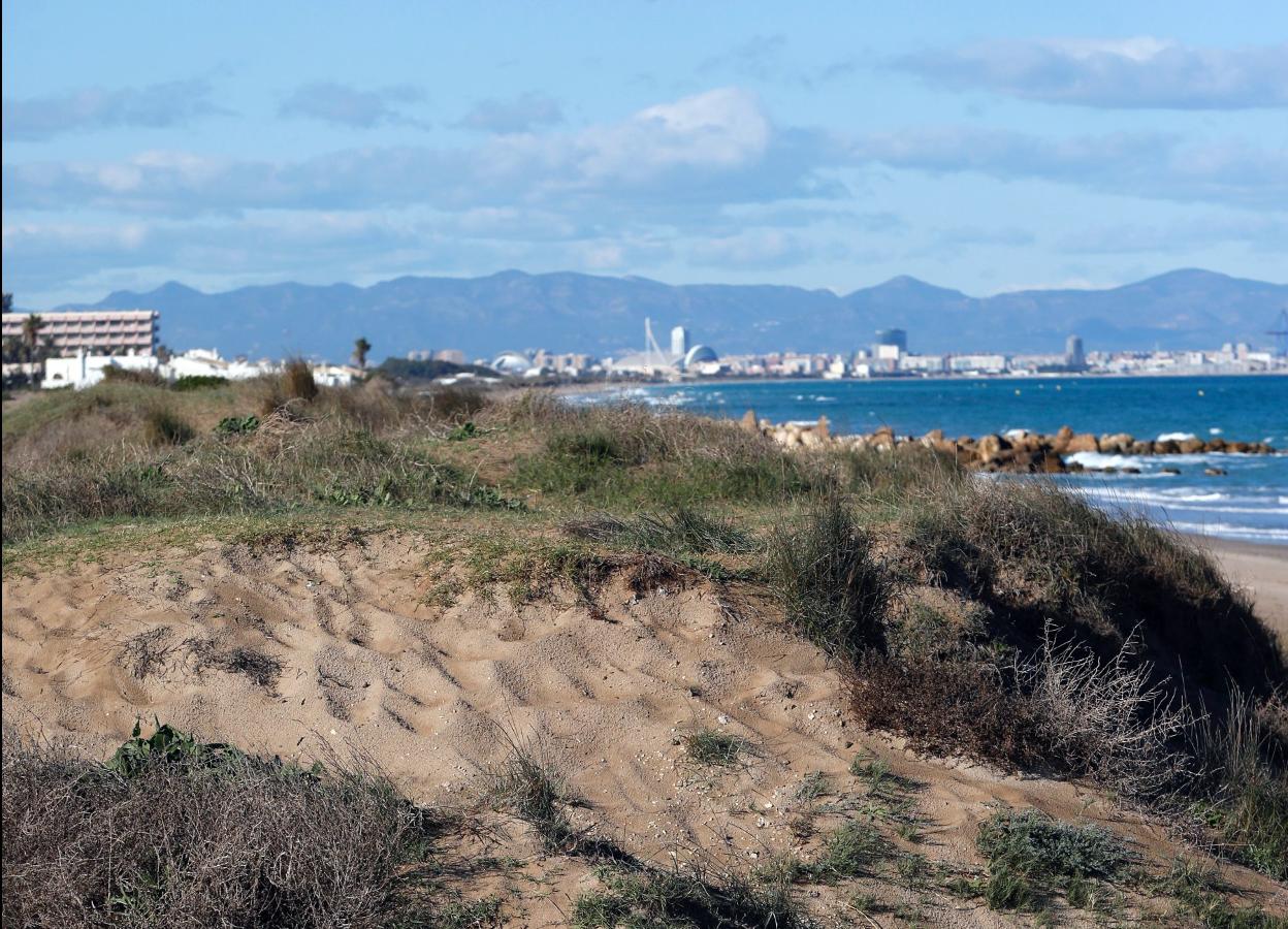 Un tramo de la playa de la Devesa, ayer. 