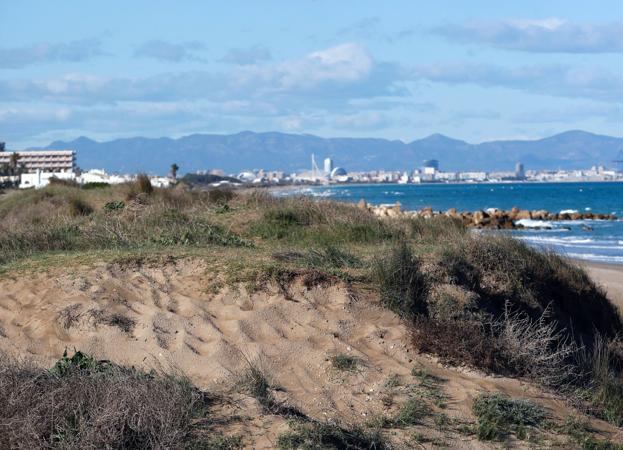 Costas encarga el proyecto para salvar la playa más valiosa de la Albufera