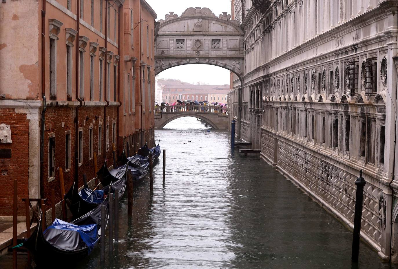 Venecia volvió a sufrir este viernes una gran inundación, después de que el jueves el agua diera algo de tregua, hasta el punto de que el ayuntamiento ha decidido cerrar la emblemática plaza de San Marcos a residentes y turistas. El alcalde de la ciudad de los canales, Luigi Brugnaro, anunció que había decidido cerrar San Marcos por motivos de seguridad, debido al nuevo pico de 154 centímetros que alcanzó a media mañana el «agua alta». Se trata del segundo récord alcanzado esta semana después de la gran inundación de martes, la mayor sufrida por la ciudad en más de medio siglo, con las aguas alcanzando los 187 centímetros.