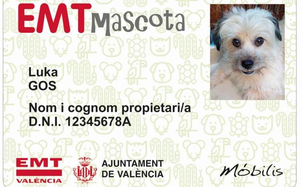 Los animales de compañía podrán viajar en la EMT de Valencia a partir del 25 de noviembre