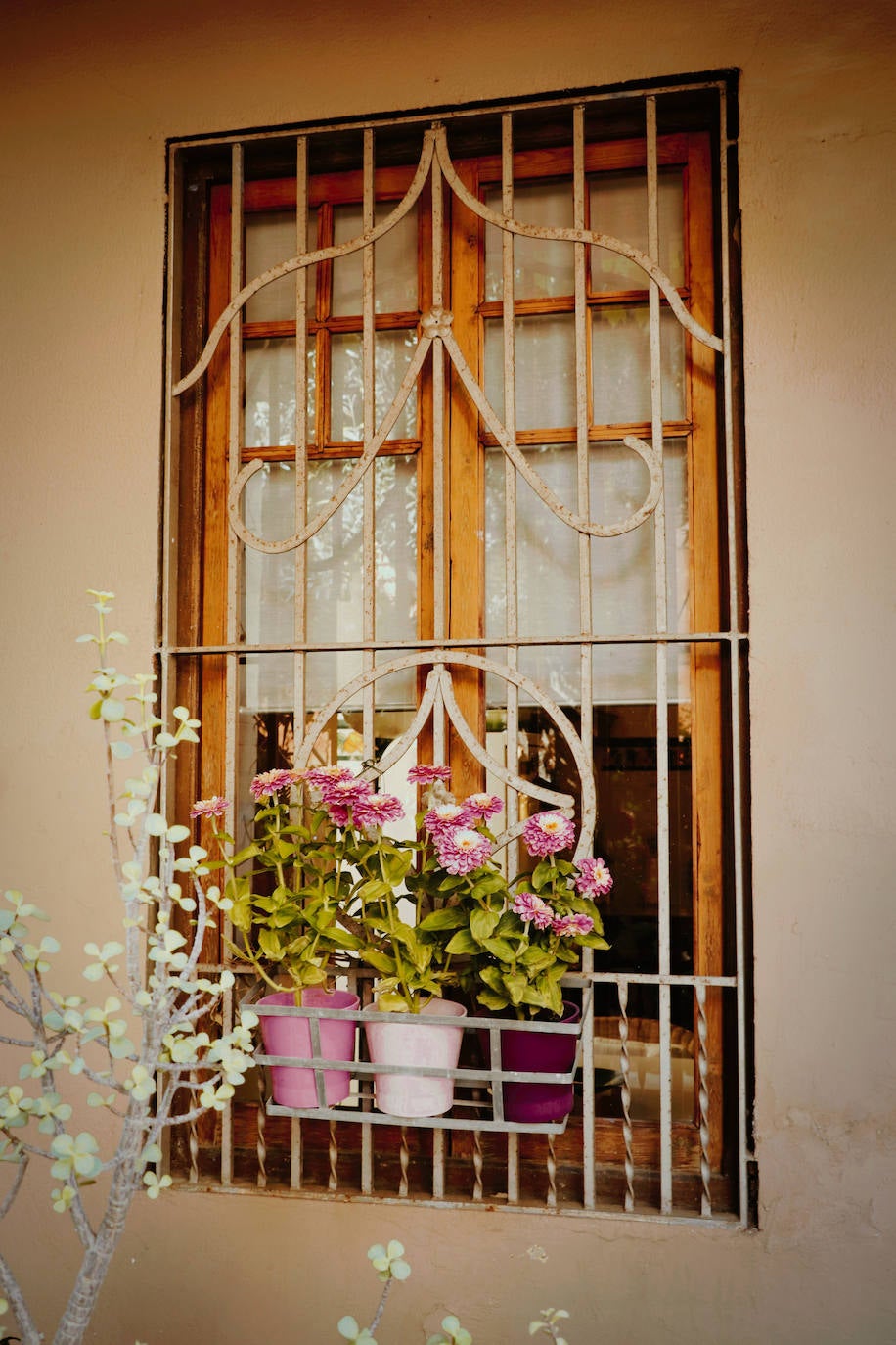 Fotos: Dentro de las casas &#039;La Previsora&#039;