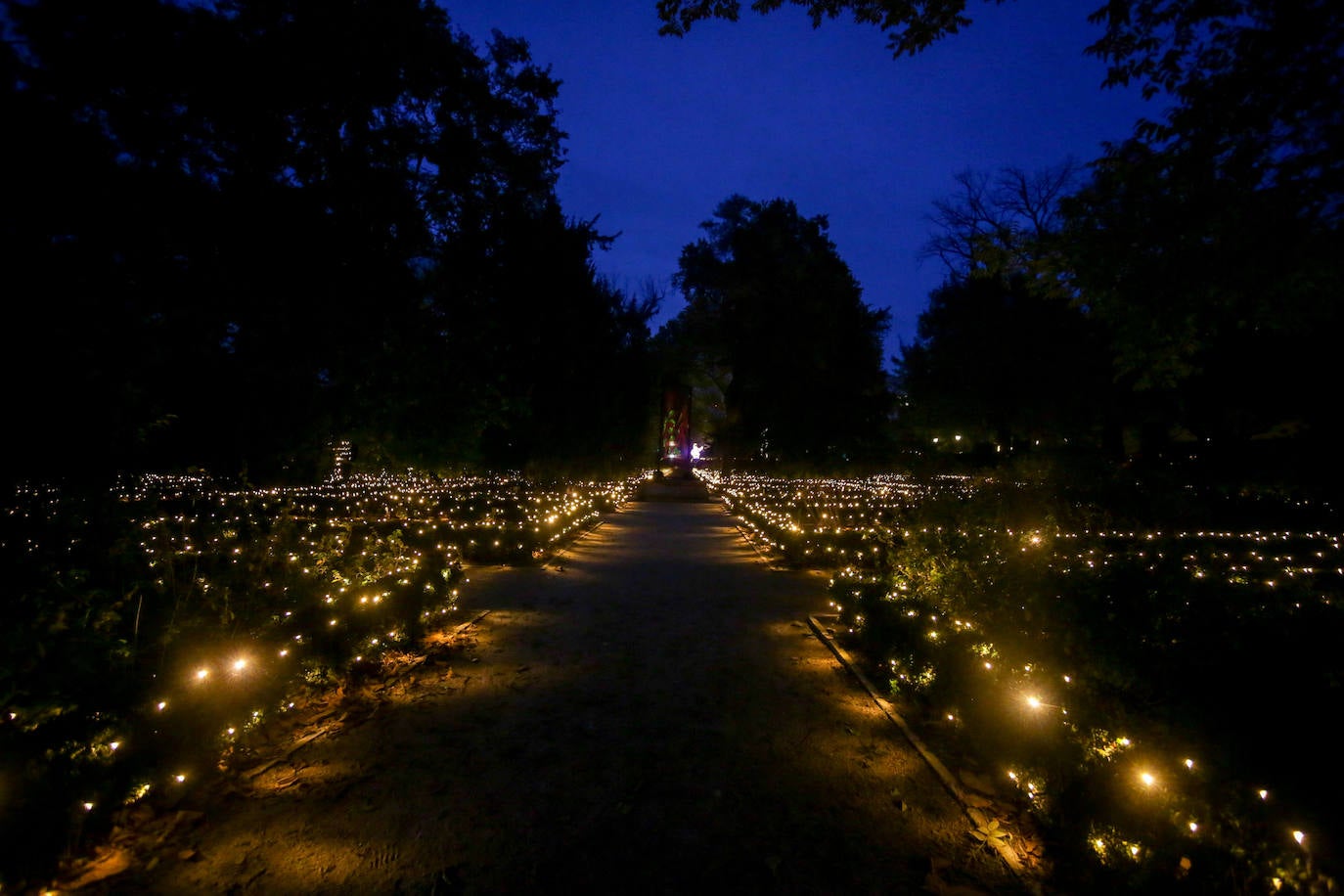 Iluminación del espectáculo 'Las Luces del Real Jardín Botánico', que tras su paso por Londres, Berlín, Stuttgart y Dresde llega a Madrid para convertir este espacio verde del centro de la capital en un lugar de ambiente navideño. 