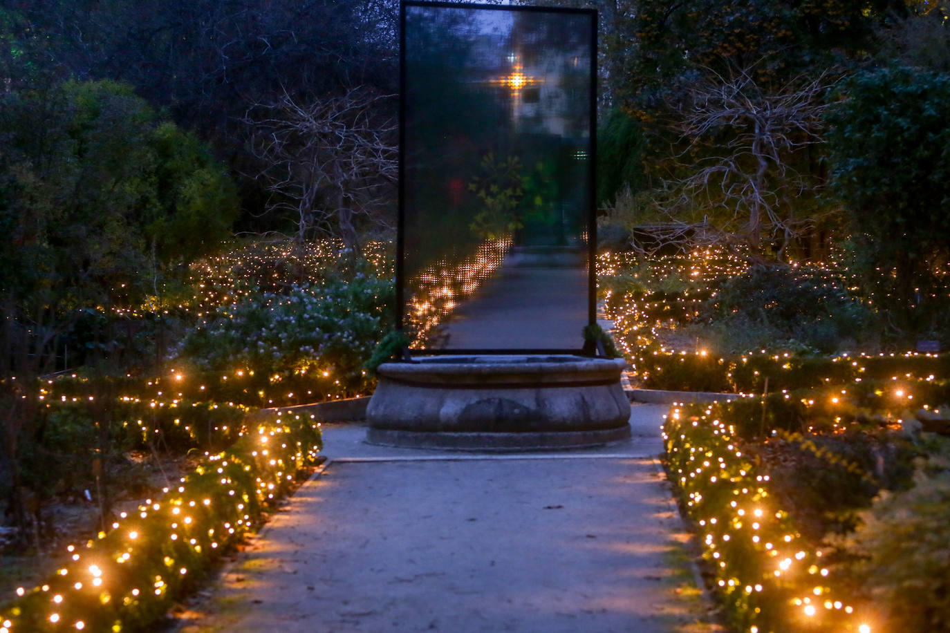 Iluminación del espectáculo 'Las Luces del Real Jardín Botánico', que tras su paso por Londres, Berlín, Stuttgart y Dresde llega a Madrid para convertir este espacio verde del centro de la capital en un lugar de ambiente navideño. 