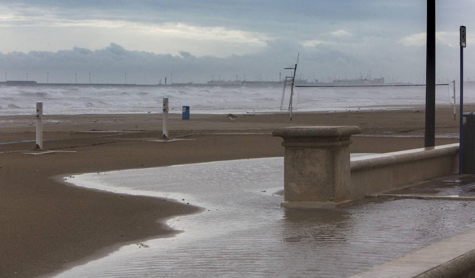 El puerto de Valencia ha estado cerrado por el temporal de viento. 