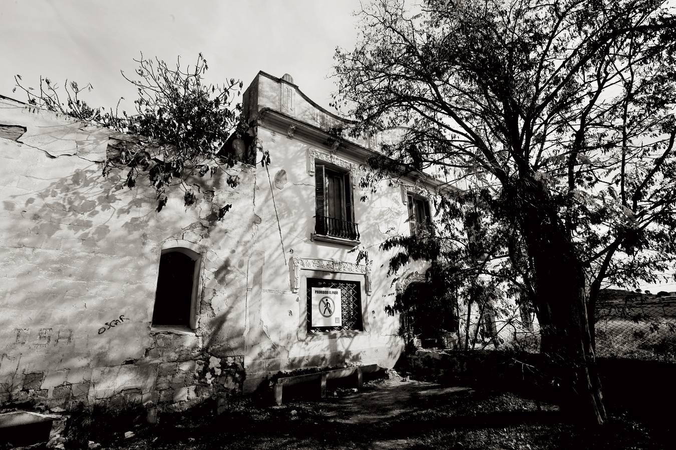 Fotos: Abandonada colonia de Santa Eulalia en l&#039;Alcúdia