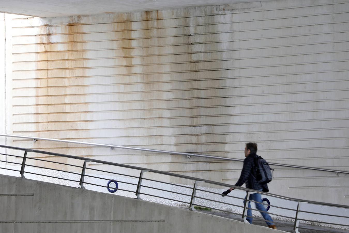 Fotos: Suciedad y falta de pintura afean la Ciudad de las Ciencias