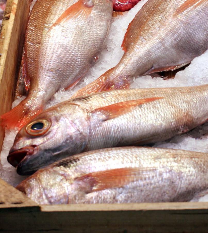 Besugo. Es de los pescados que recoge una mayor subida respecto a las navidades pasadas, ya que su precio ha subido un 53% y el kilo cuesta 46,53 euros.