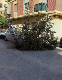 Imagen secundaria 2 - El viento en Valencia provoca el cierre de la pista de hielo, caída de árboles y cancelaciones de trenes