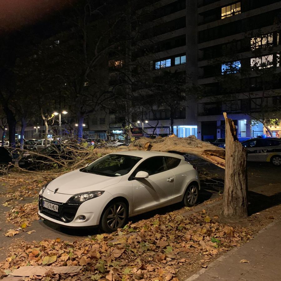 Fotos: Efectos de las fuertes rachas de viento en Valencia