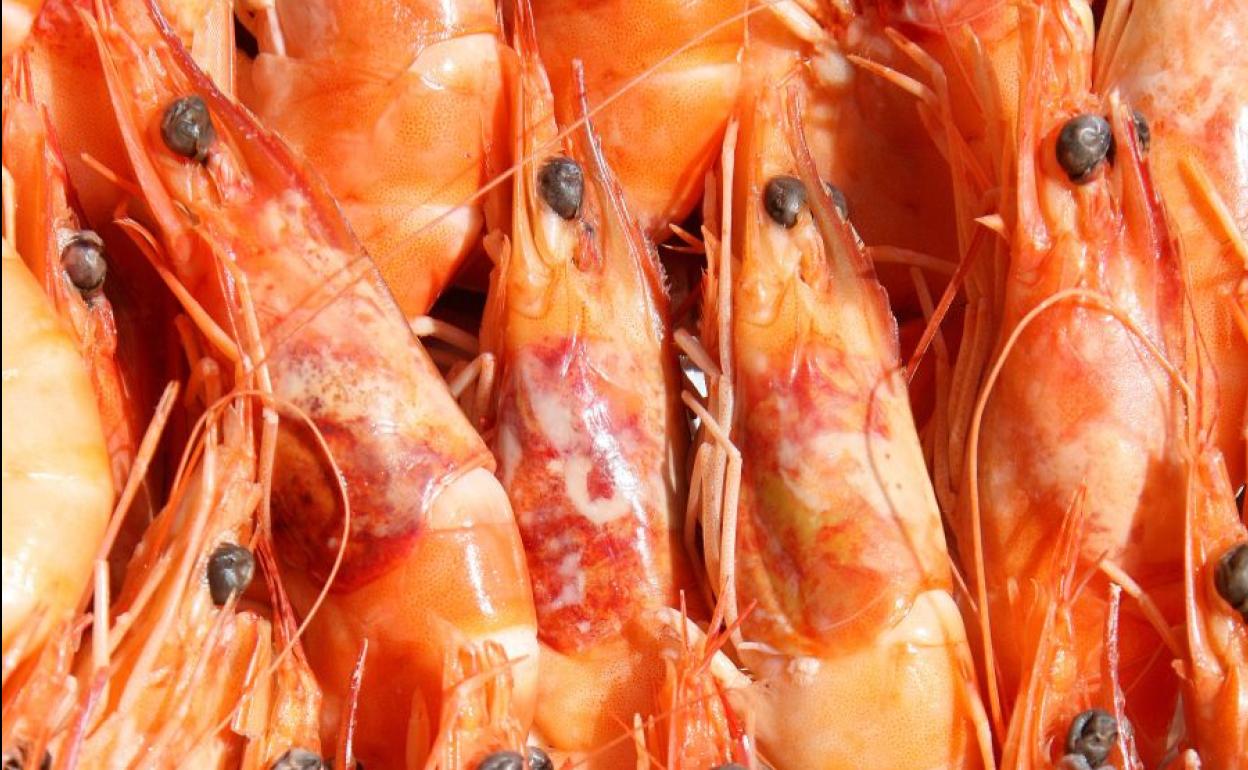 Cadmio en las cabezas de las gambas | «Por chupar una cabeza de gamba uno no se va a envenenar»