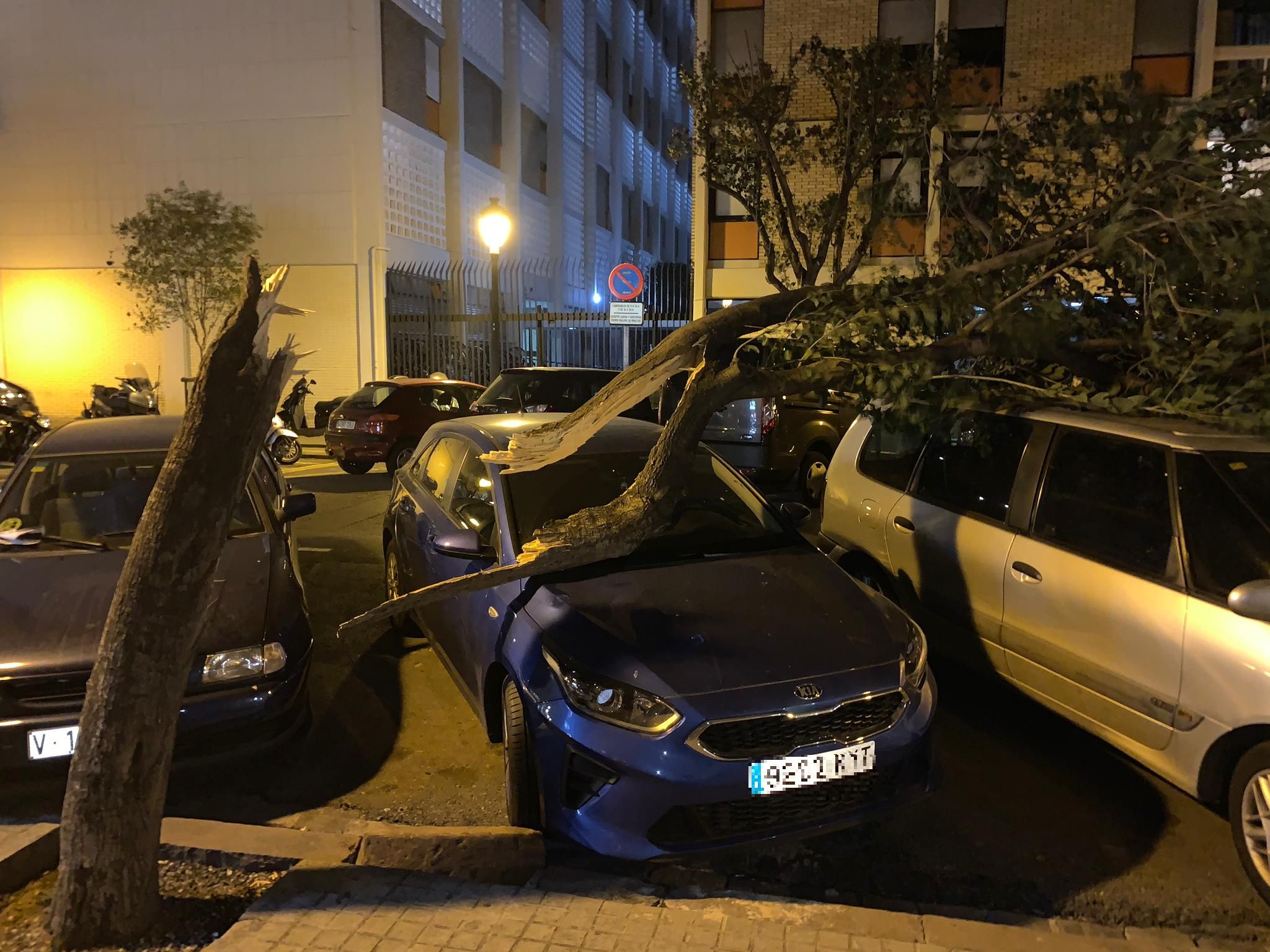 Fotos: Efectos de las fuertes rachas de viento en Valencia