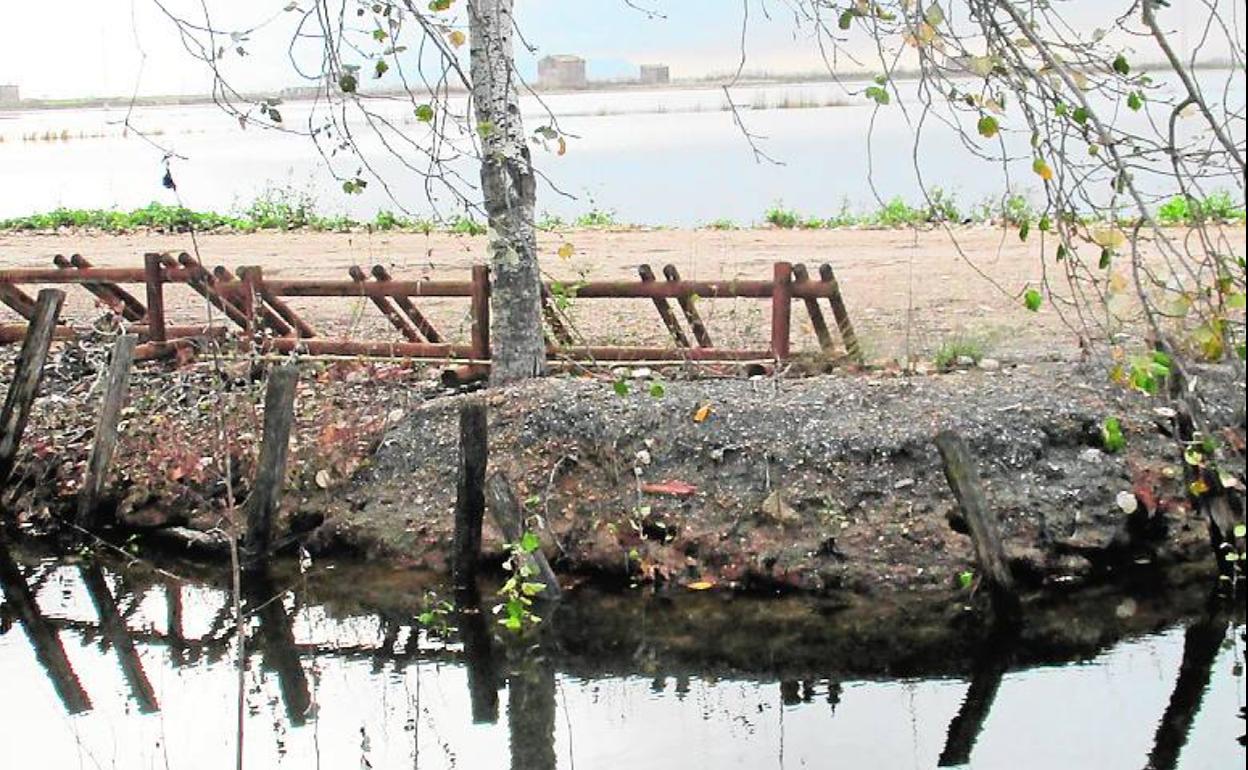 Canal de riego y arrozales junto a la Albufera.