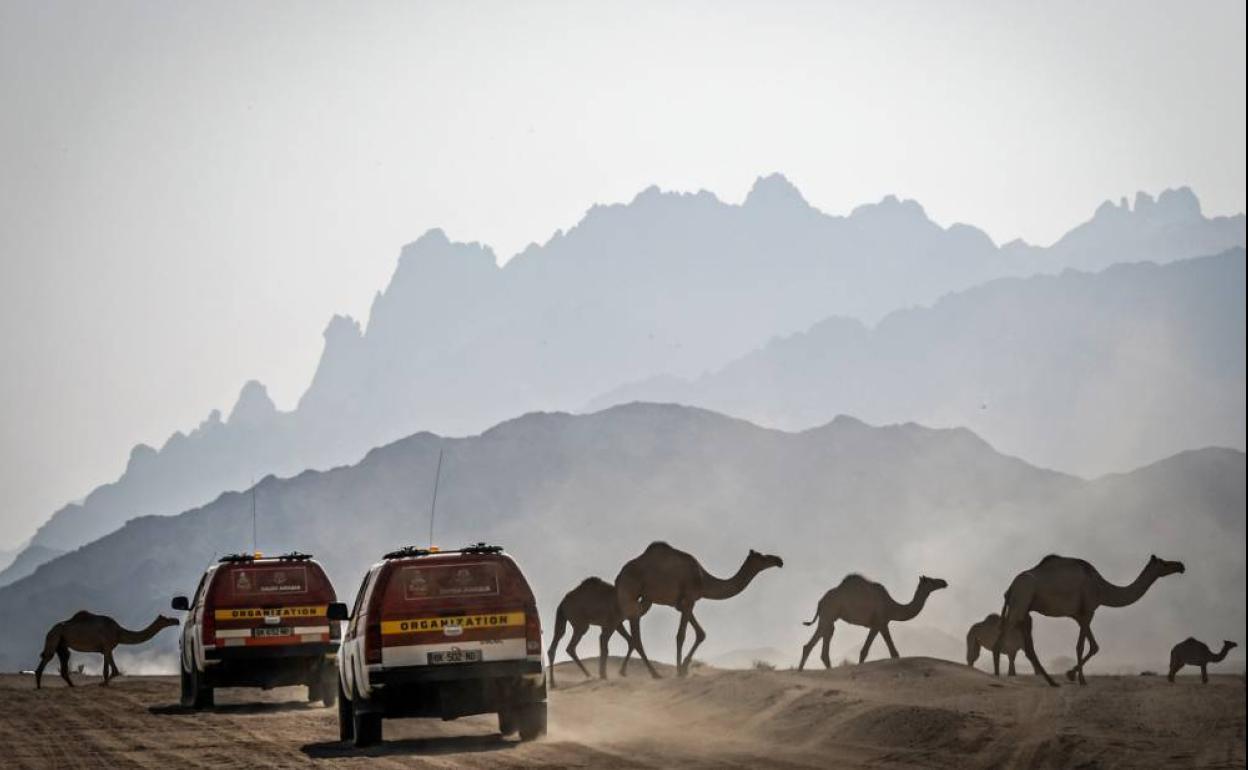 Imágenes del Dakar durante el reconocimiento oficial.