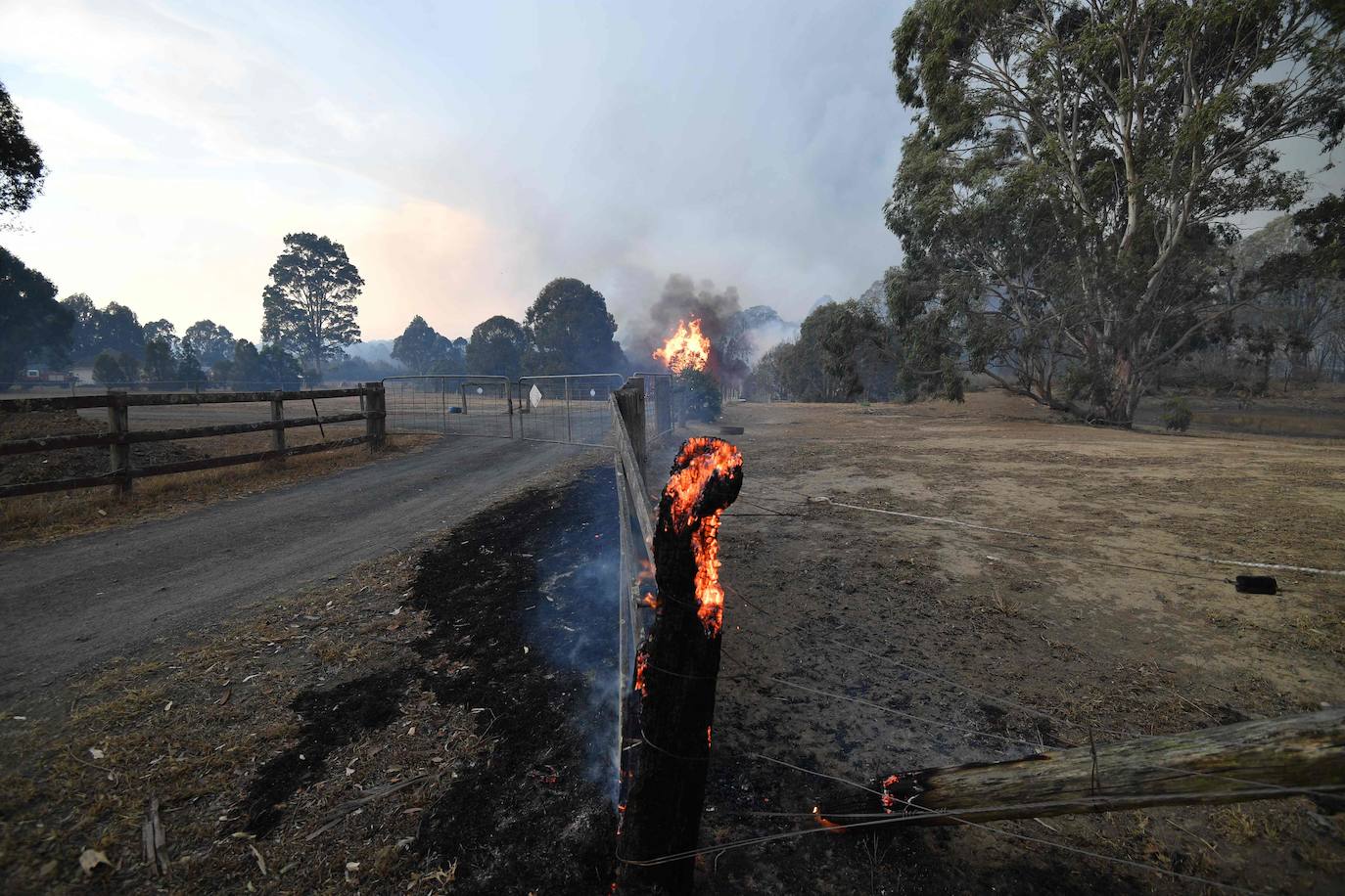 Los incendios forestales que arden sin control en Australia han obligado este martes a miles de personas a refugiarse en playas del sureste del país, en donde el fuego ha provocado 12 muertos y quemado un área similar a la de Costa Rica en los últimos meses. Centenares de incendios arden en esta última jornada del 2019 en Australia, en donde la atención se centra principalmente en la costa suroriental del país debido a las altas temperaturas, los fuertes vientos y el avance de las llamas hacia la costa.