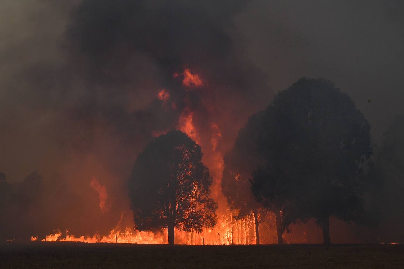 Los incendios forestales que arden sin control en Australia han obligado este martes a miles de personas a refugiarse en playas del sureste del país, en donde el fuego ha provocado 12 muertos y quemado un área similar a la de Costa Rica en los últimos meses. Centenares de incendios arden en esta última jornada del 2019 en Australia, en donde la atención se centra principalmente en la costa suroriental del país debido a las altas temperaturas, los fuertes vientos y el avance de las llamas hacia la costa.