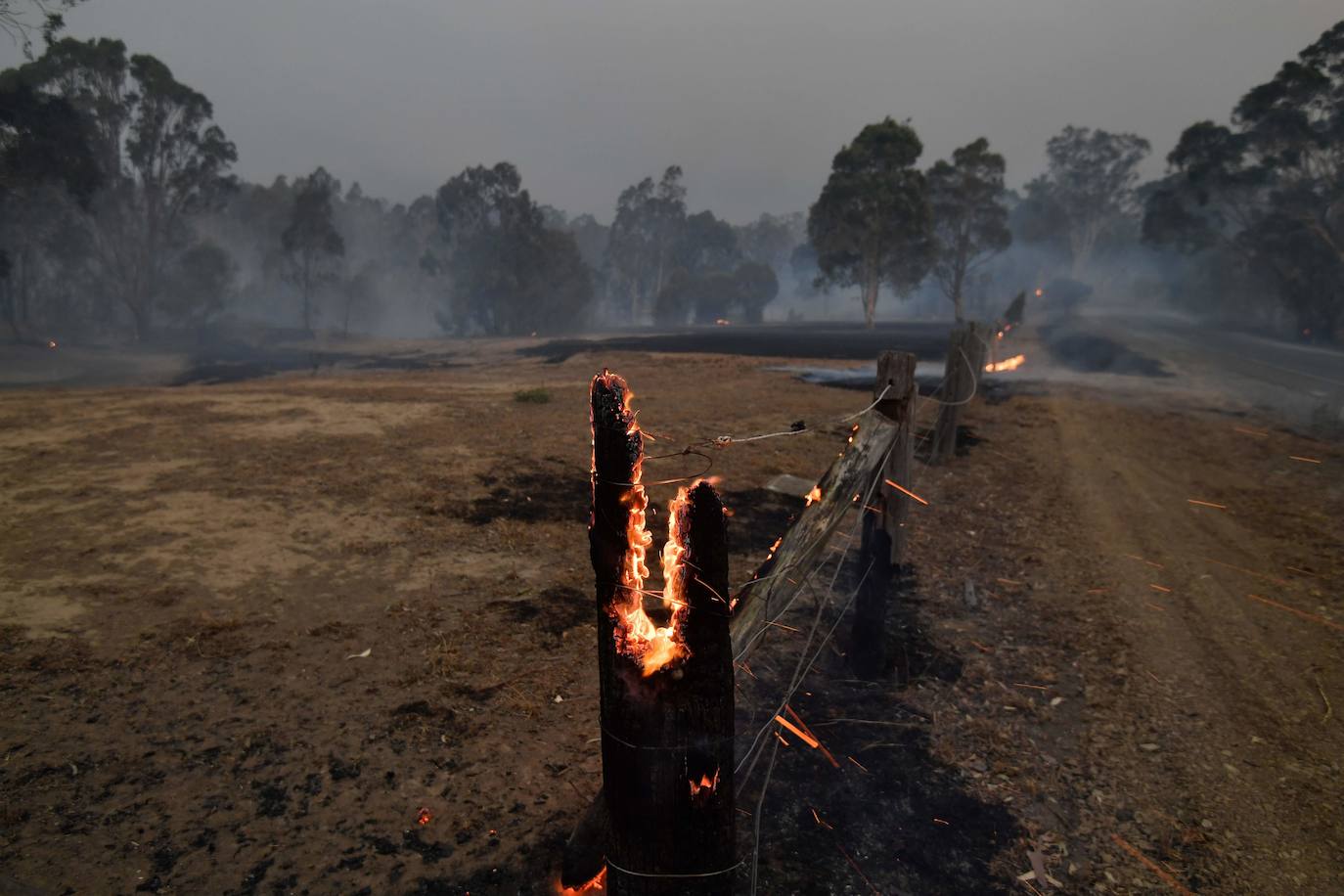 Los incendios forestales que arden sin control en Australia han obligado este martes a miles de personas a refugiarse en playas del sureste del país, en donde el fuego ha provocado 12 muertos y quemado un área similar a la de Costa Rica en los últimos meses. Centenares de incendios arden en esta última jornada del 2019 en Australia, en donde la atención se centra principalmente en la costa suroriental del país debido a las altas temperaturas, los fuertes vientos y el avance de las llamas hacia la costa.