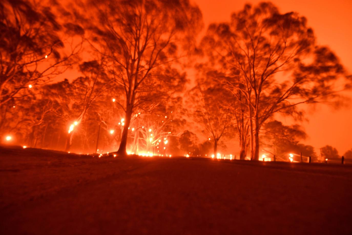 Los incendios forestales que arden sin control en Australia han obligado este martes a miles de personas a refugiarse en playas del sureste del país, en donde el fuego ha provocado 12 muertos y quemado un área similar a la de Costa Rica en los últimos meses. Centenares de incendios arden en esta última jornada del 2019 en Australia, en donde la atención se centra principalmente en la costa suroriental del país debido a las altas temperaturas, los fuertes vientos y el avance de las llamas hacia la costa.