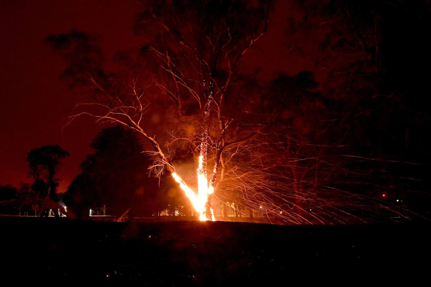 Los incendios forestales que arden sin control en Australia han obligado este martes a miles de personas a refugiarse en playas del sureste del país, en donde el fuego ha provocado 12 muertos y quemado un área similar a la de Costa Rica en los últimos meses. Centenares de incendios arden en esta última jornada del 2019 en Australia, en donde la atención se centra principalmente en la costa suroriental del país debido a las altas temperaturas, los fuertes vientos y el avance de las llamas hacia la costa.