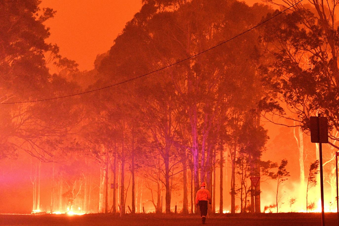 Los incendios forestales que arden sin control en Australia han obligado este martes a miles de personas a refugiarse en playas del sureste del país, en donde el fuego ha provocado 12 muertos y quemado un área similar a la de Costa Rica en los últimos meses. Centenares de incendios arden en esta última jornada del 2019 en Australia, en donde la atención se centra principalmente en la costa suroriental del país debido a las altas temperaturas, los fuertes vientos y el avance de las llamas hacia la costa.