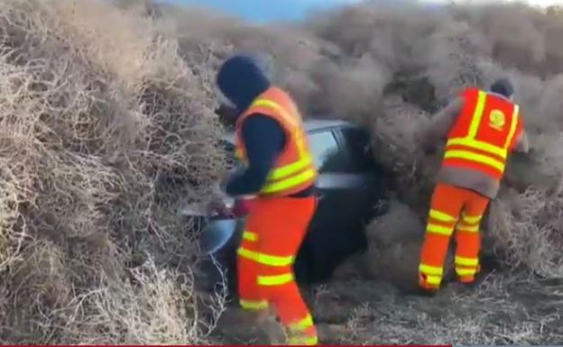 Dos operarios intentan rescatar un vehículos 'tragado' por las plantas. 